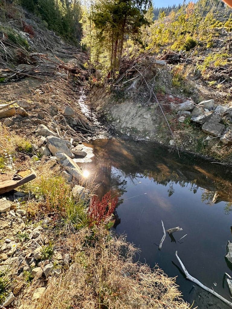 Photo of Williams Creek 4 of 20