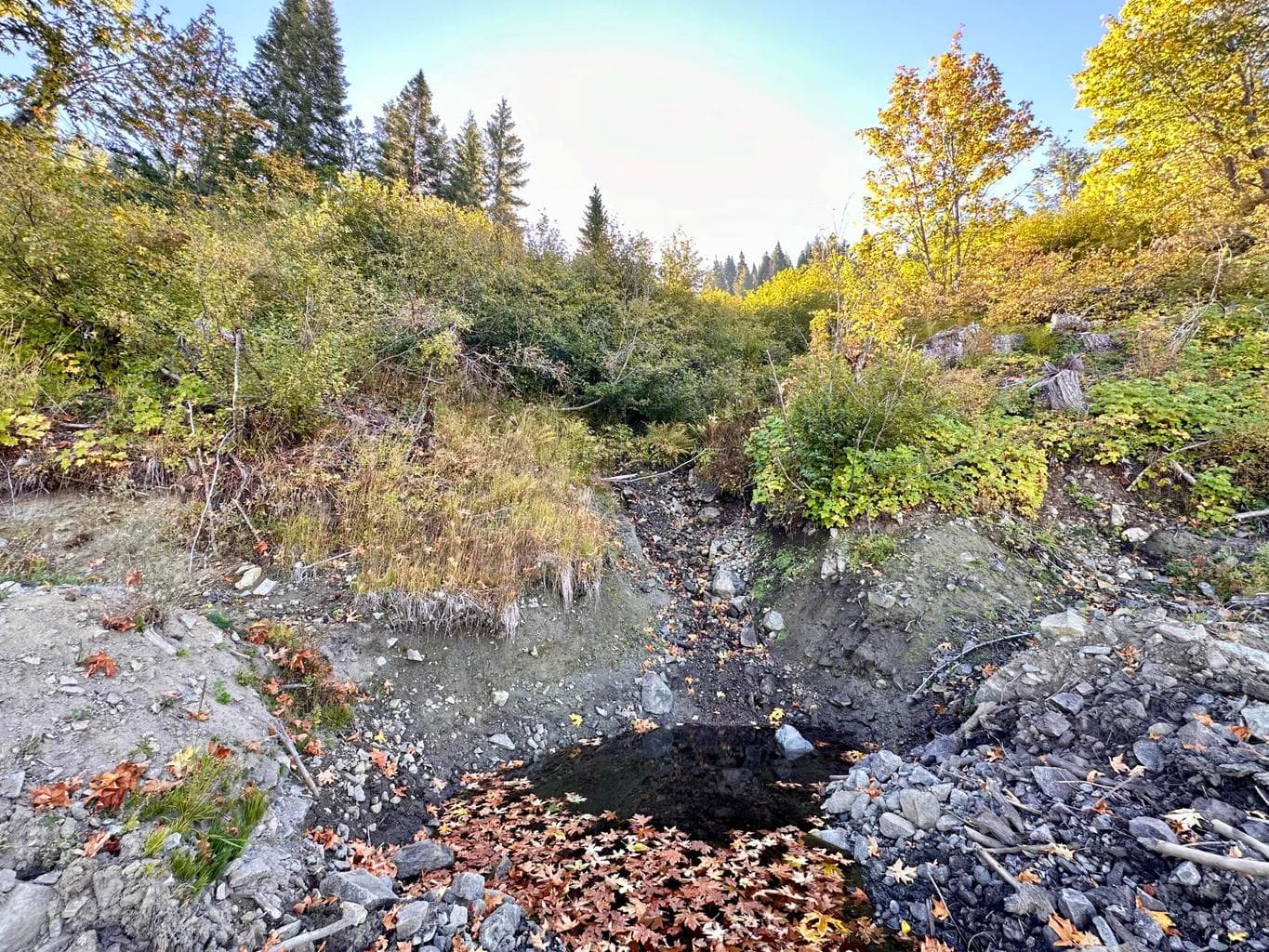 Photo of Williams Creek 5 of 20