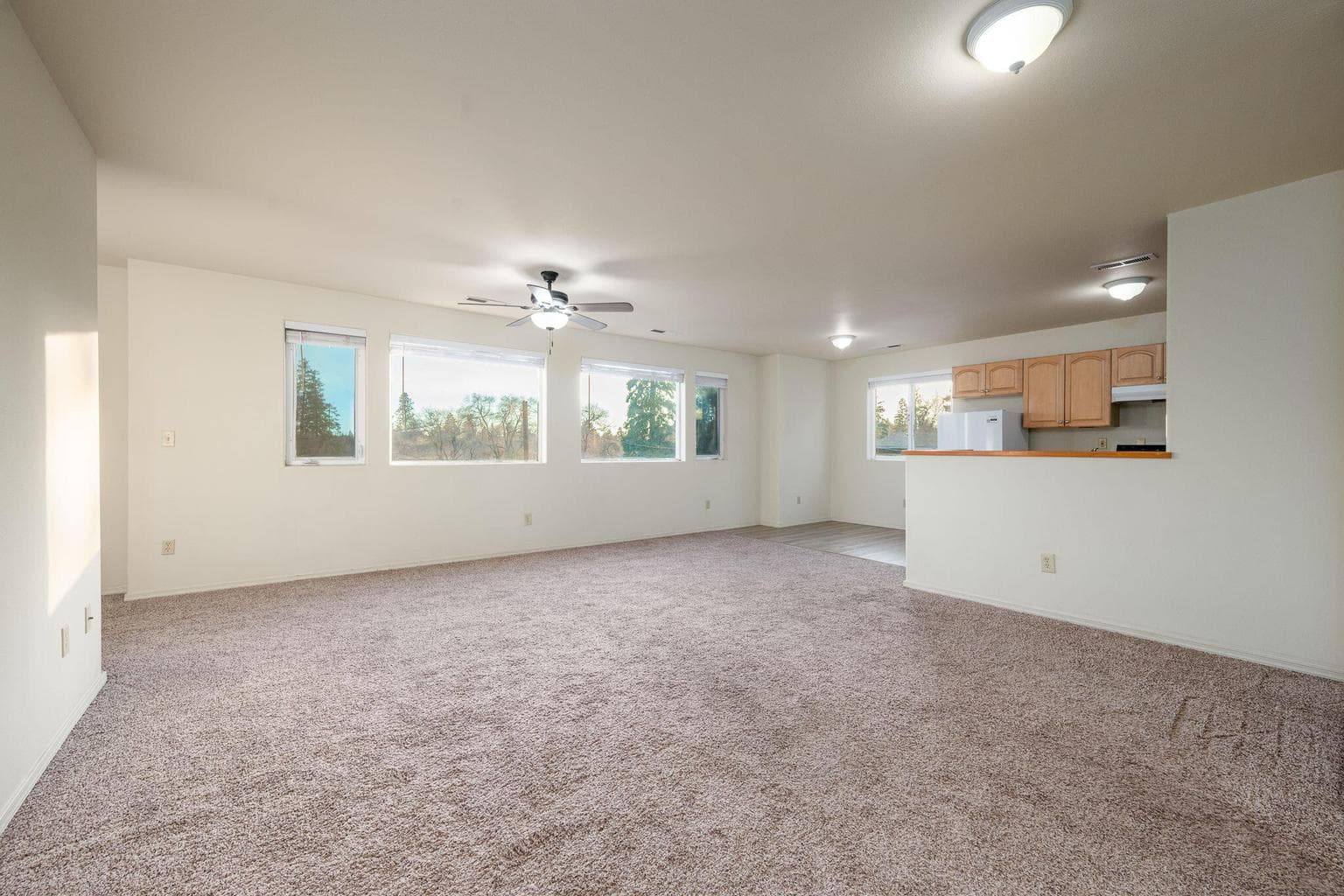 Photo of 919 Portland 3 of 28