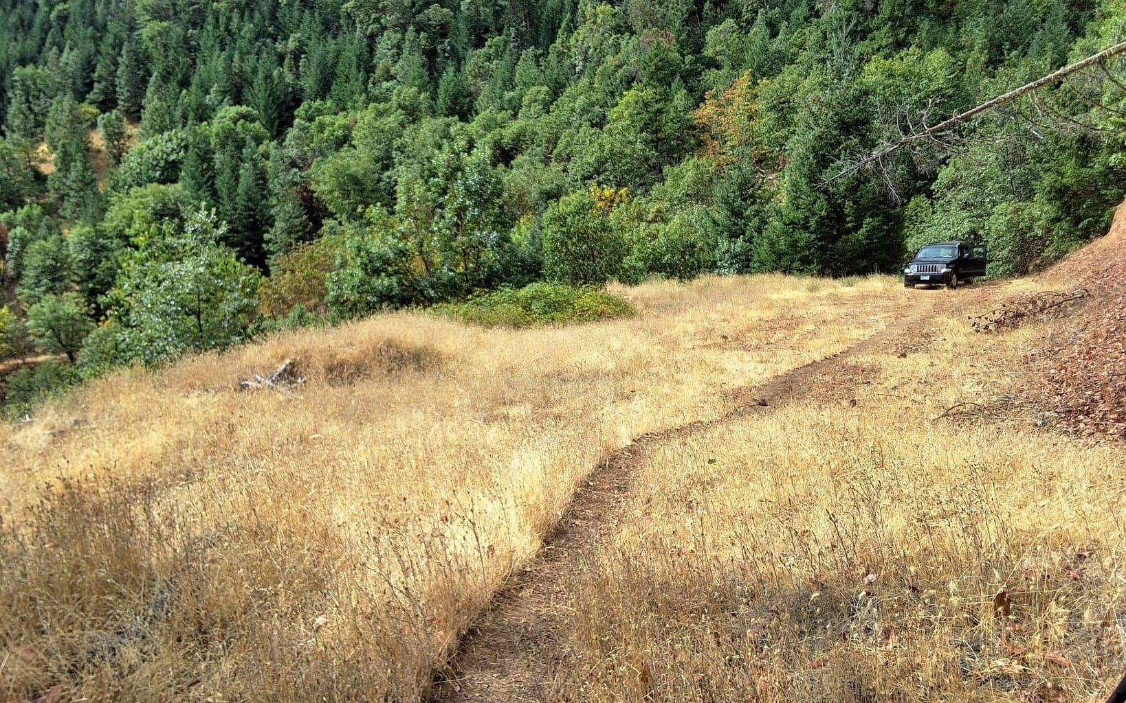 Photo of Galls Creek Road 5 of 34