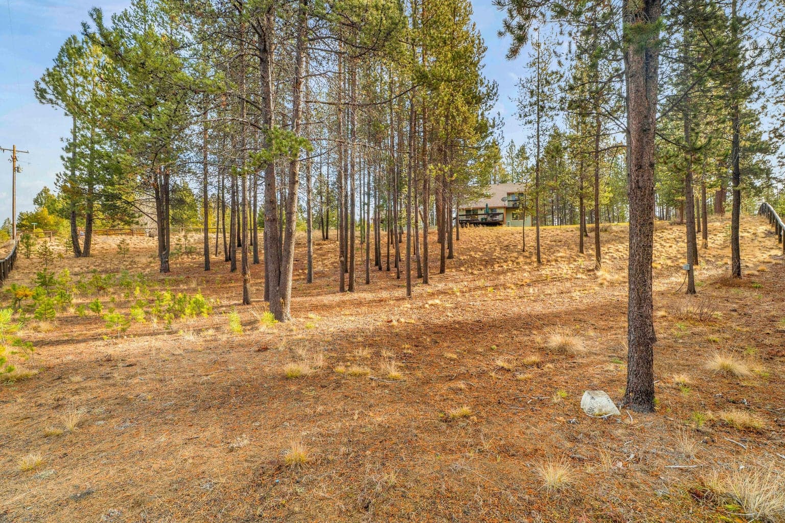 Photo of 55065 Marten Lane 51 of 51