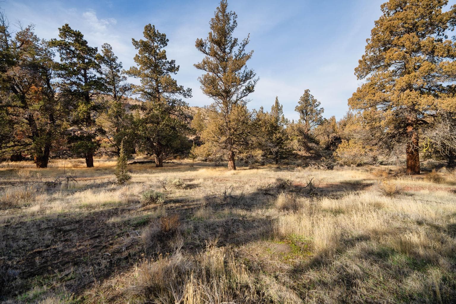 Photo of 9745 NW Placer Lane 13 of 17
