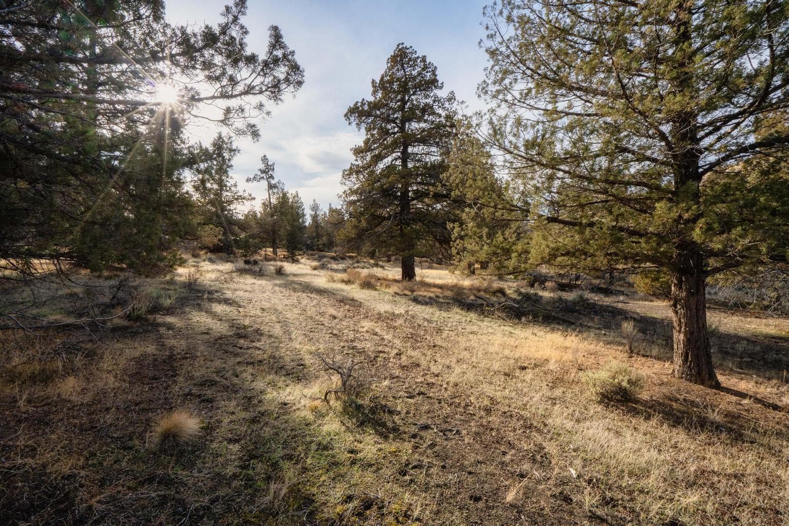 Photo of 9745 NW Placer Lane 14 of 17