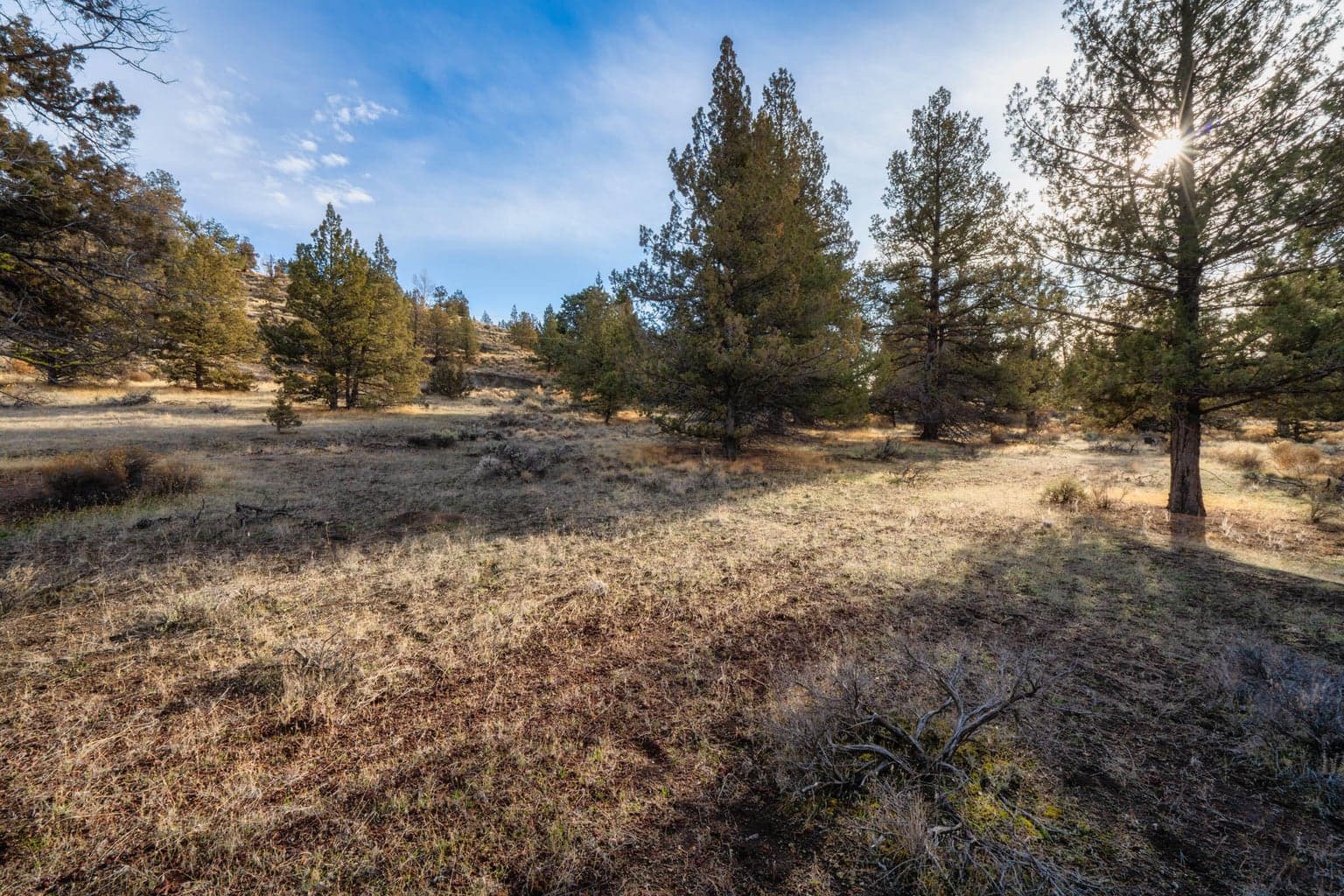 Photo of 9745 NW Placer Lane 15 of 17