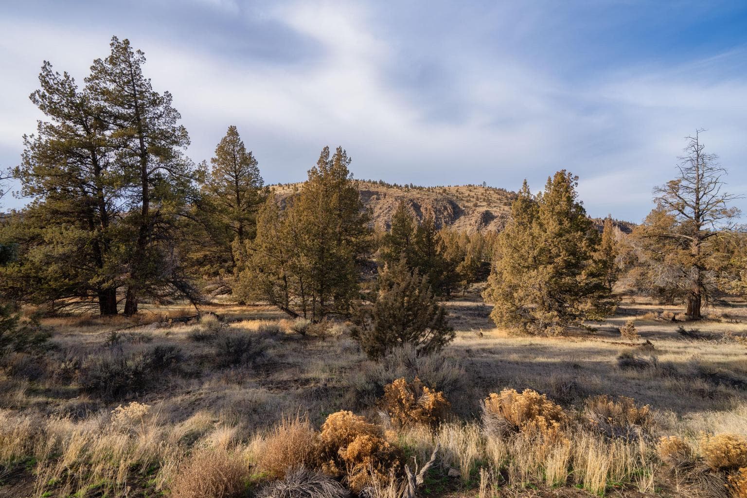 Photo of 9745 NW Placer Lane 6 of 17