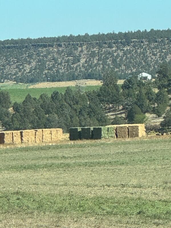Photo of 70445 NW Lower Valley Drive 9 of 14