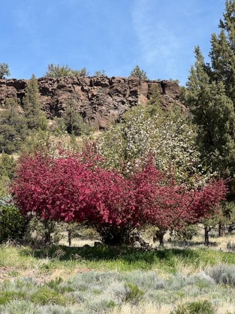 Photo of 69850 NW Lower Valley Drive NW 8 of 16