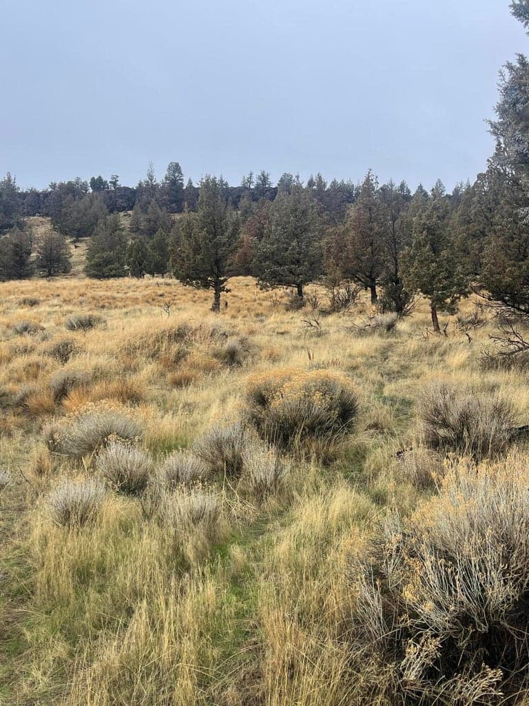 Photo of 70445 Lower Valley 3 of 14