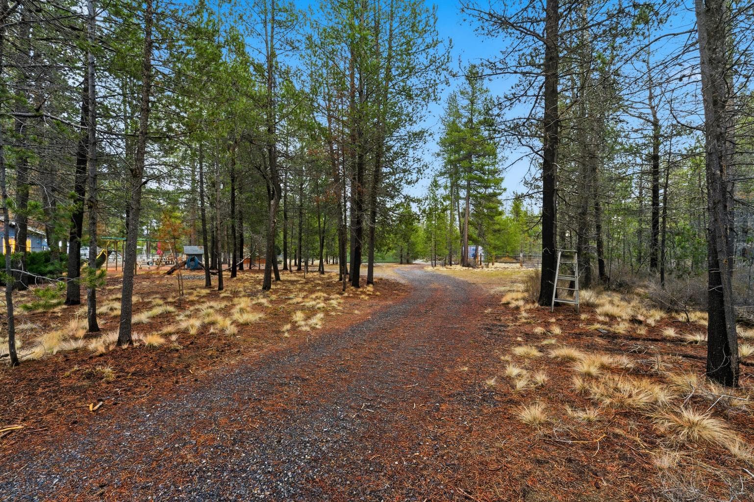 Photo of 149245 Kurtz Road 46 of 60