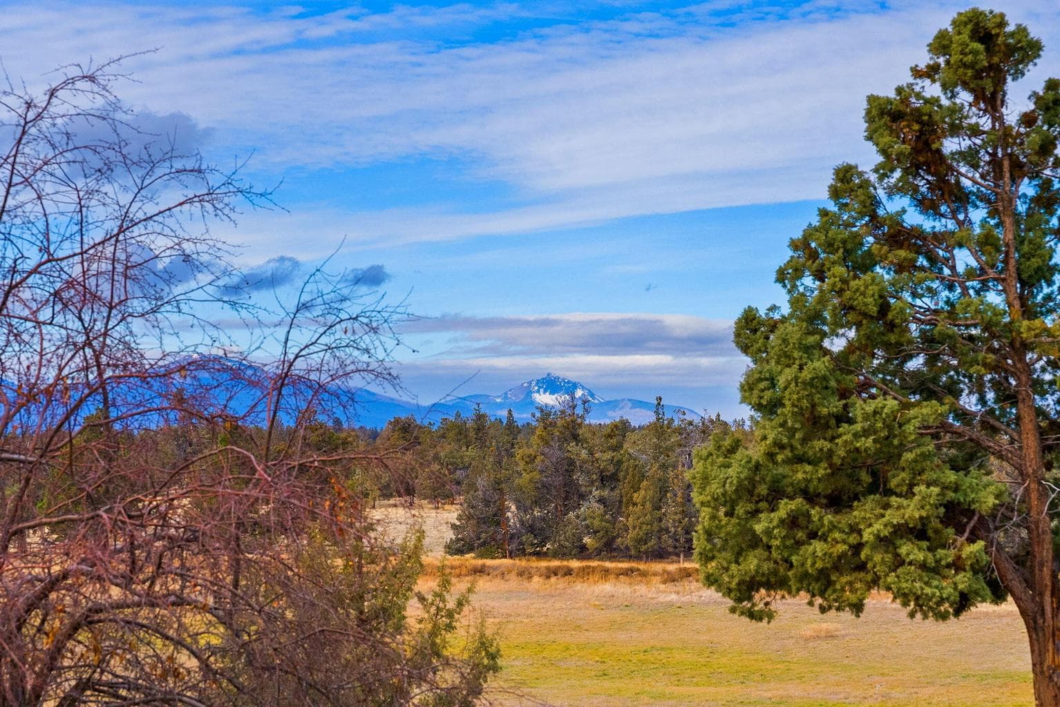 Photo of 65345 Tweed Road 58 of 86
