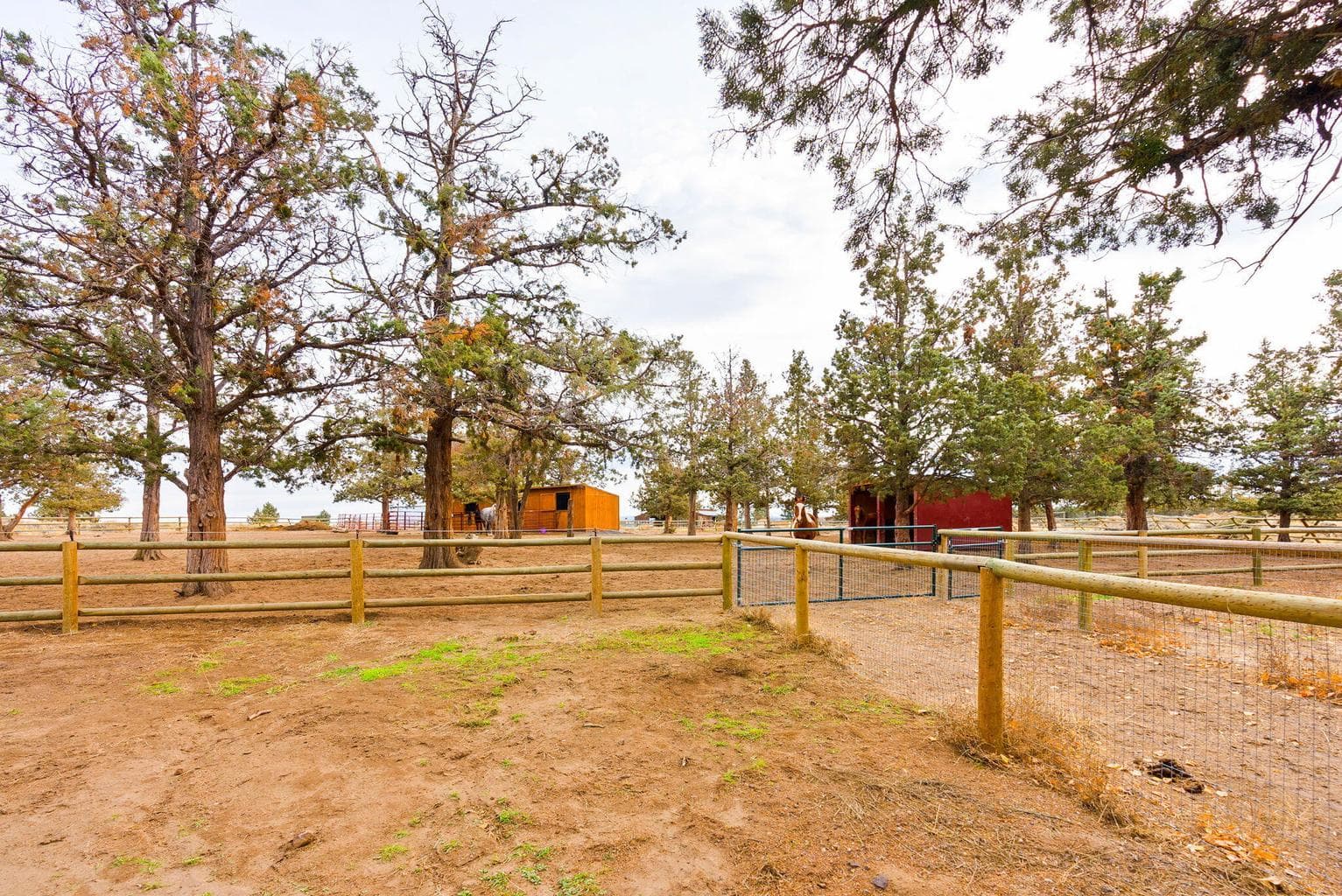 Photo of 65345 Tweed Road 73 of 86