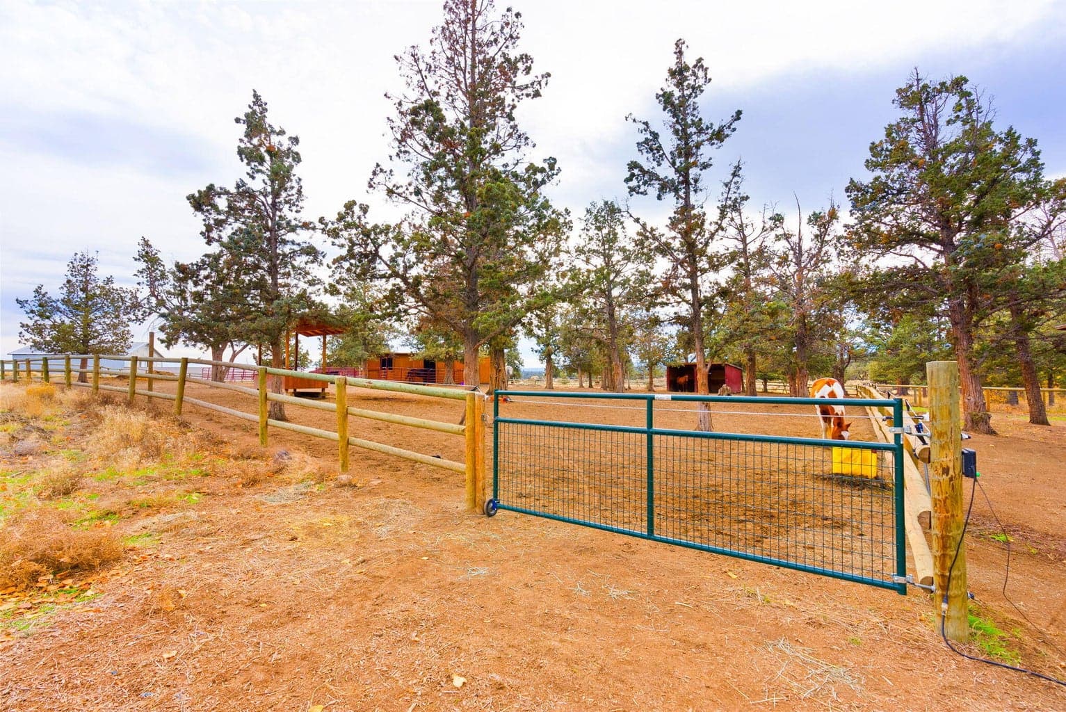 Photo of 65345 Tweed Road 70 of 86