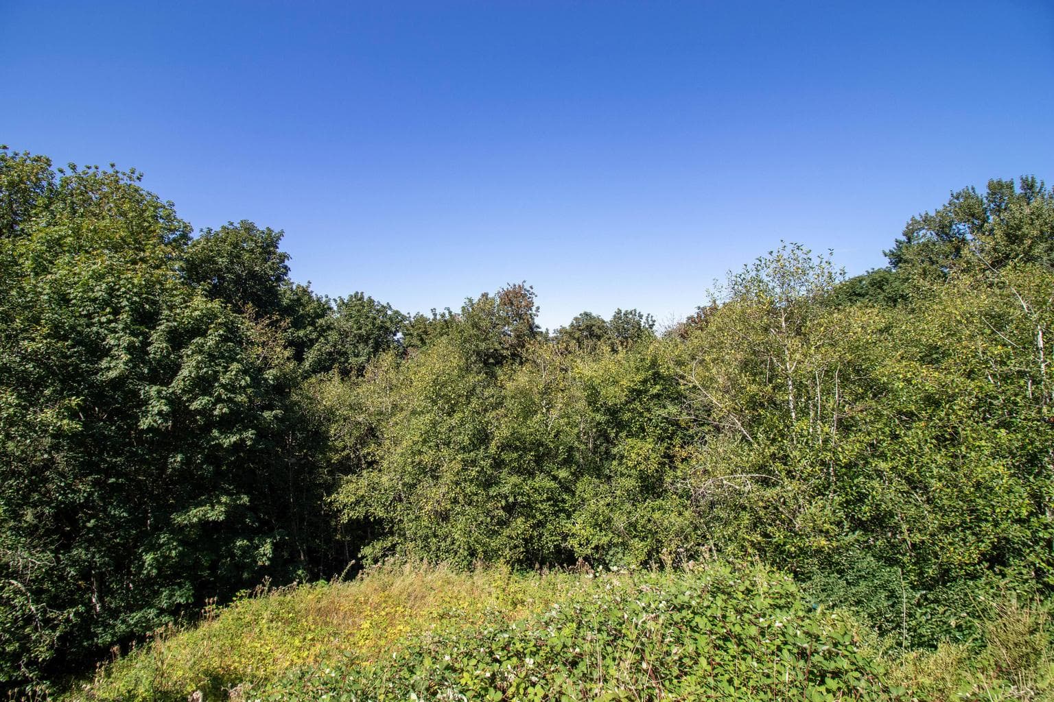 Photo of 8049 Prominence 4 of 20