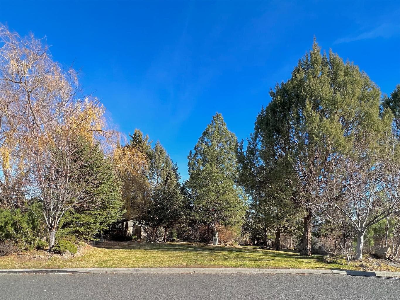 Photo of 3162 Craftsman 3 of 8