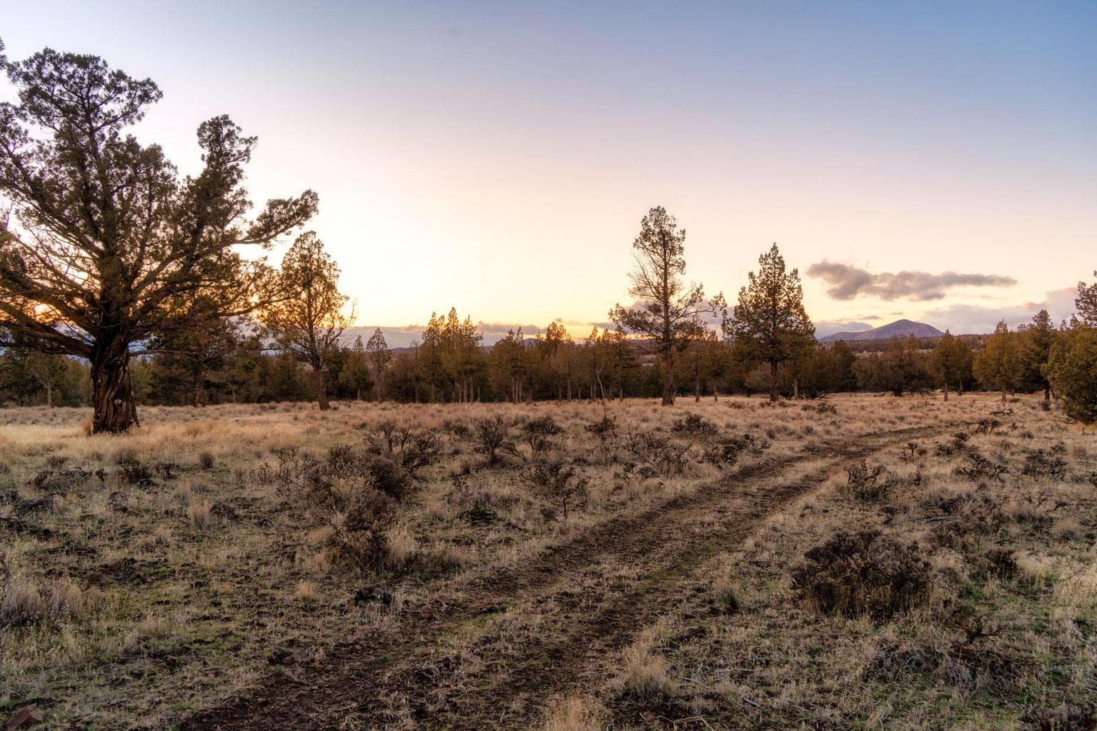 Photo of Panorama View 5 of 26