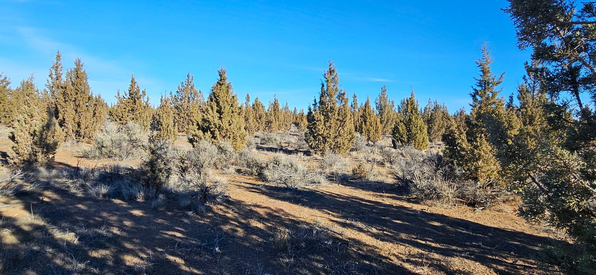 Photo of Bend 2 of 9