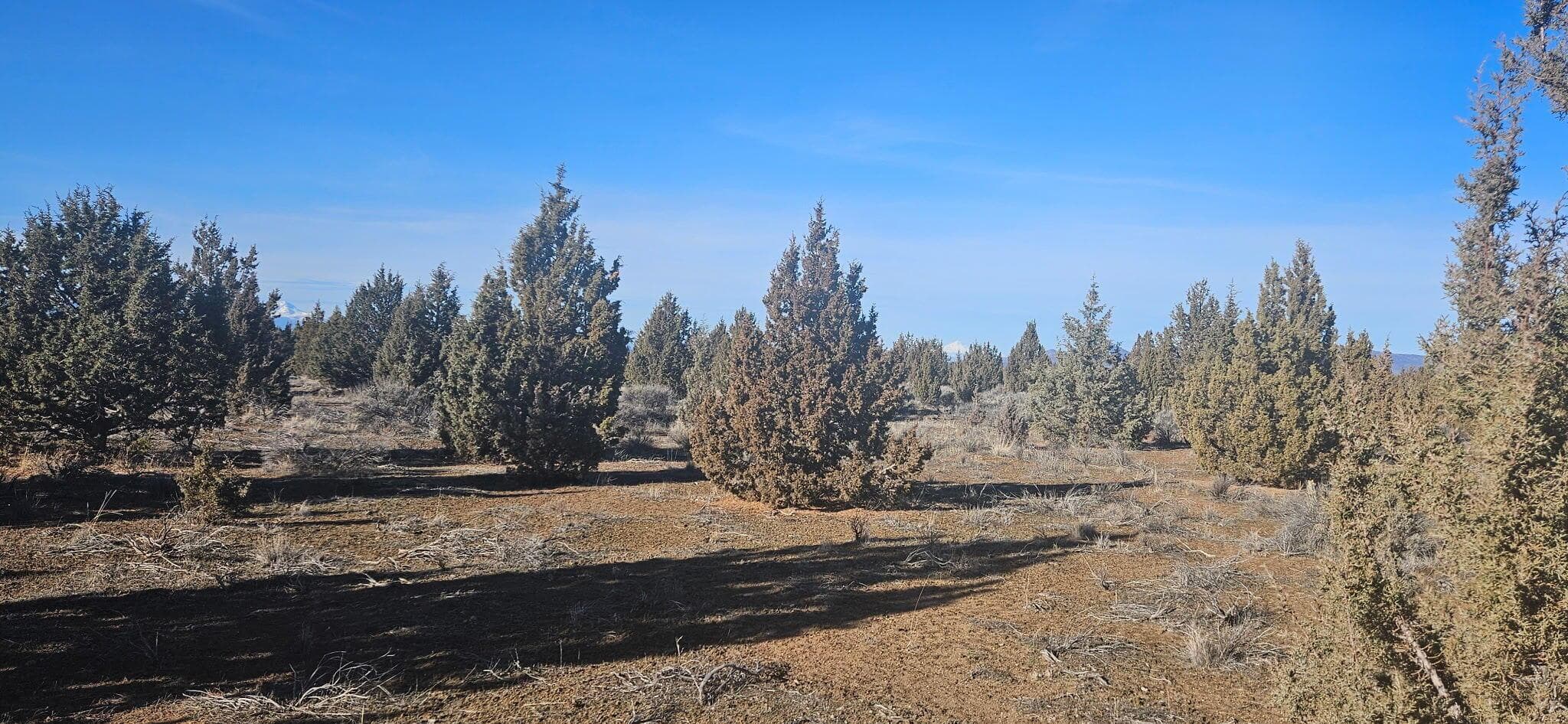 Photo of Bend 3 of 9