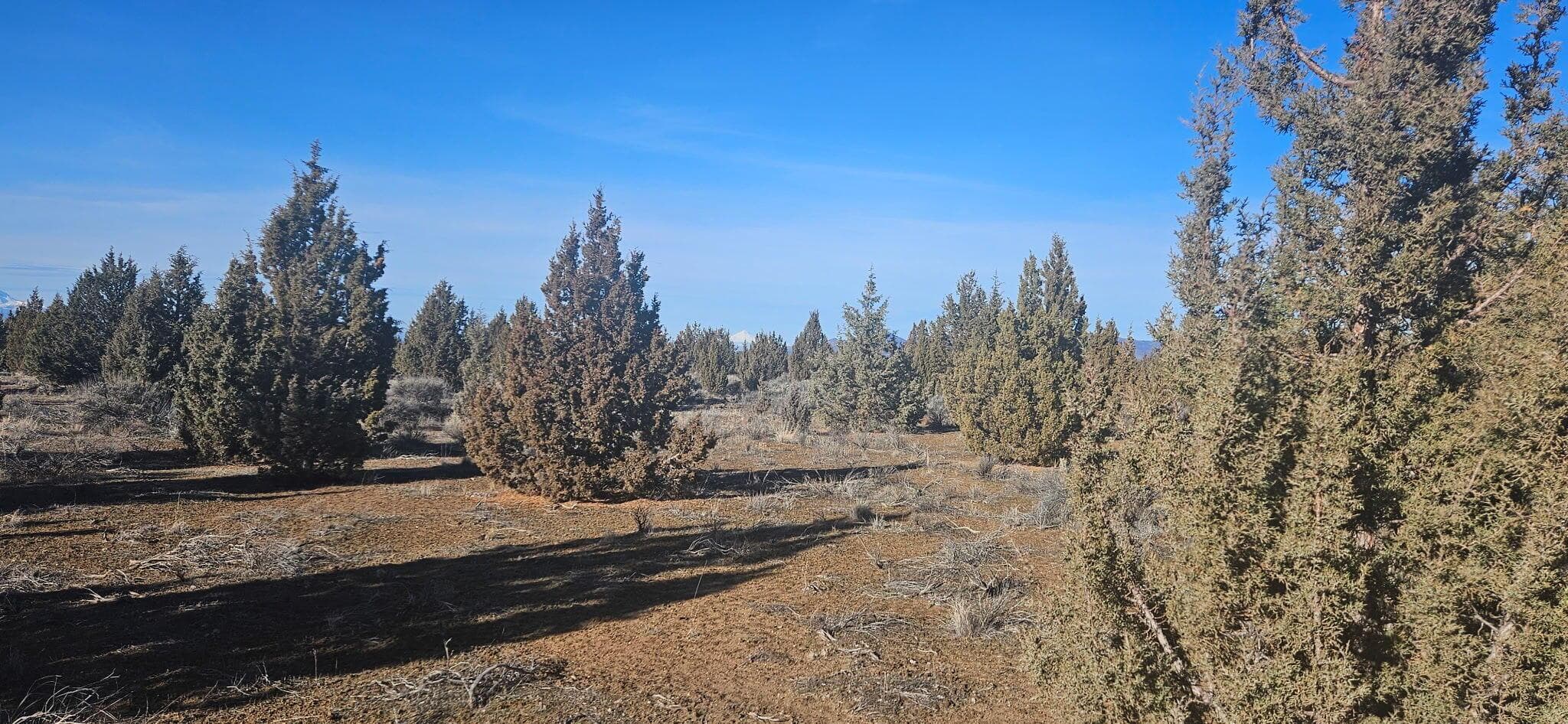 Photo of Bend 4 of 9