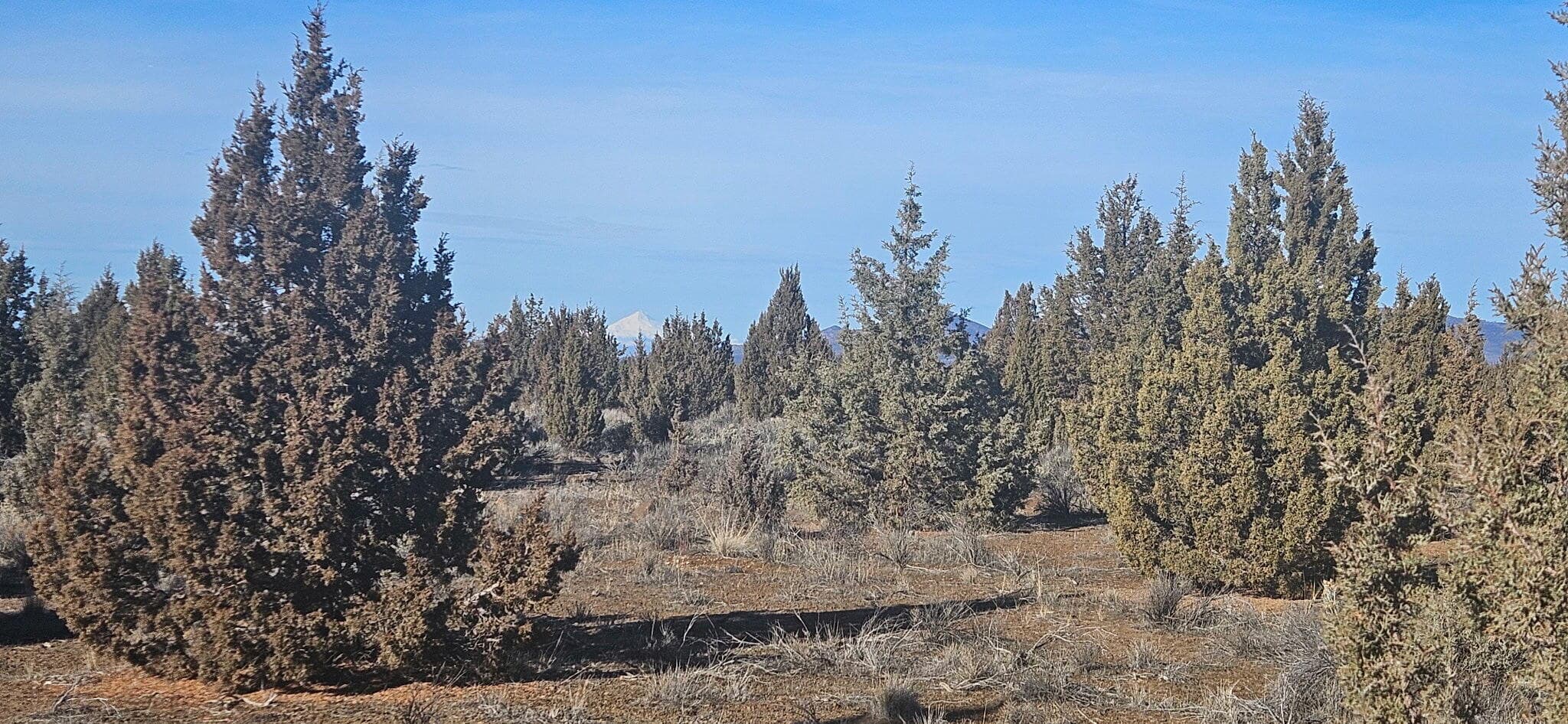 Photo of Bend 5 of 9