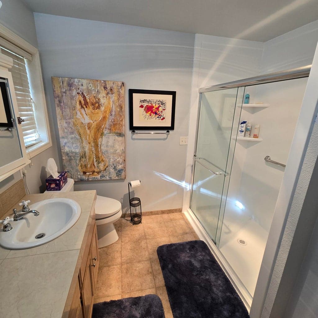 Walk-in or roll-in shower in the Primary Bathroom