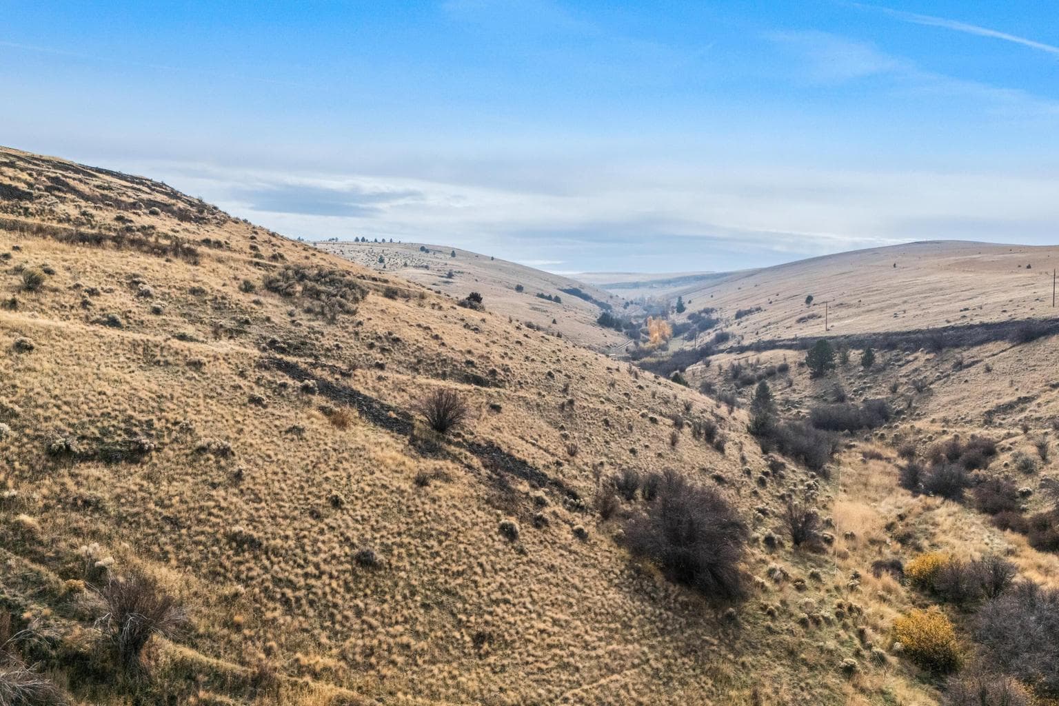 Photo of 0 Badger Canyon 4 of 8