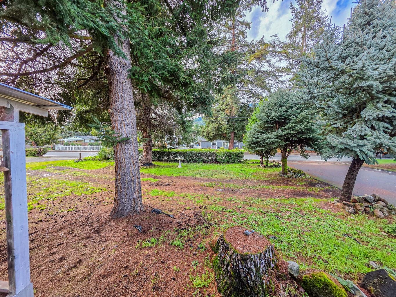Photo of 512 Pine 5 of 68