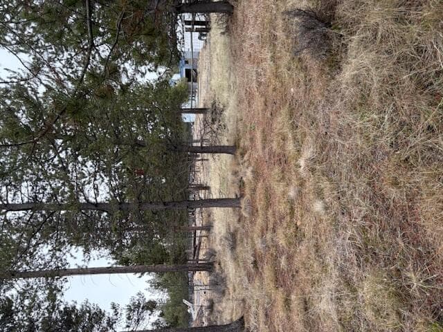 Photo of Sun Forest 2 of 20