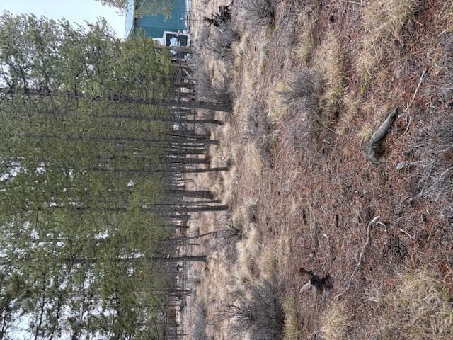 Photo of Sun Forest 4 of 20
