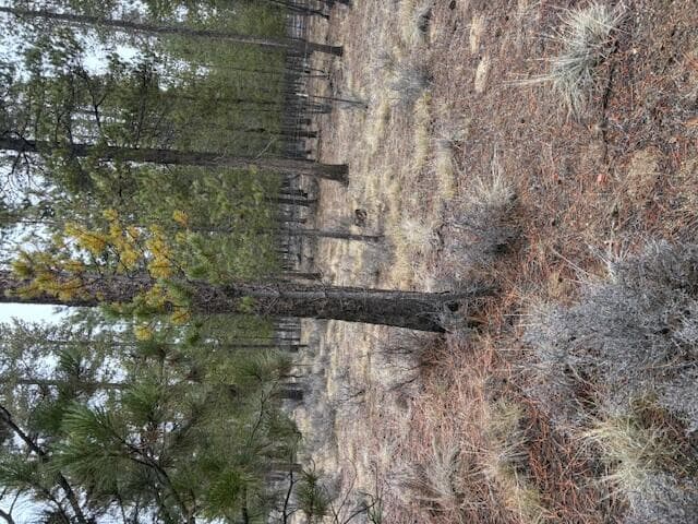 Photo of Sun Forest Drive 6 of 20