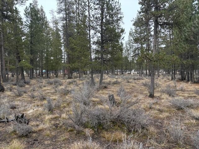 Photo of Sun Forest Drive 13 of 20