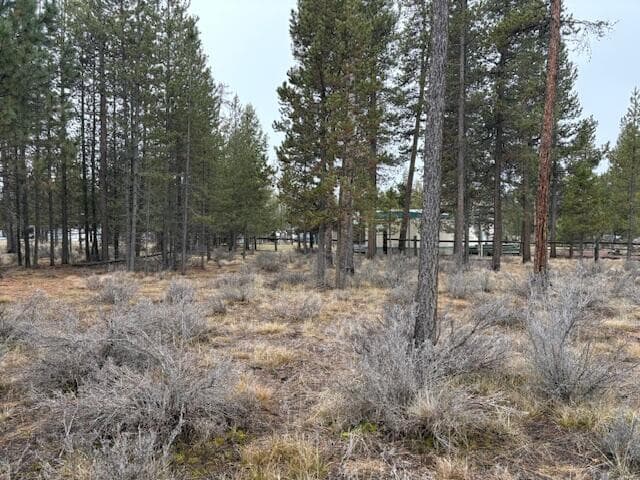 Photo of Sun Forest Drive 14 of 20