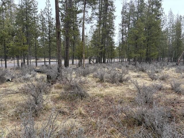 Photo of Sun Forest Drive 15 of 20