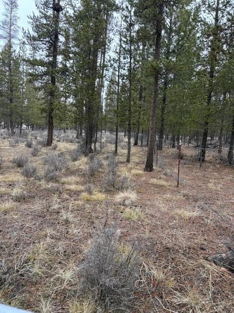 Photo of Sun Forest Drive 7 of 20