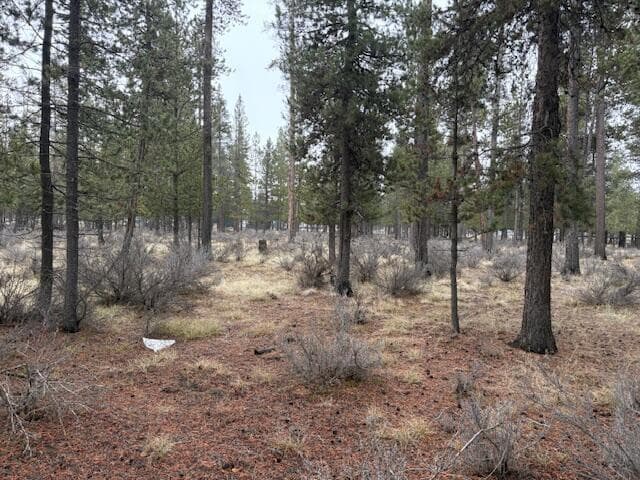Photo of Sun Forest Drive 16 of 20