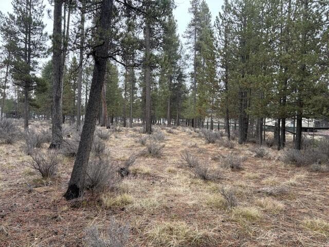 Photo of Sun Forest Drive 17 of 20
