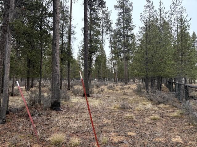 Photo of Sun Forest Drive 18 of 20