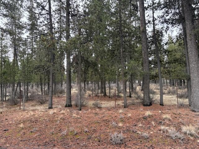 Photo of Sun Forest Drive 19 of 20