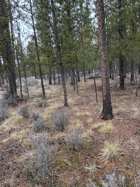 Photo of Sun Forest Drive 8 of 20