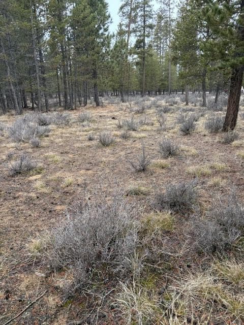 Photo of Sun Forest Drive 9 of 20