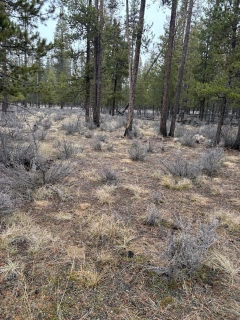 Photo of Sun Forest Drive 10 of 20