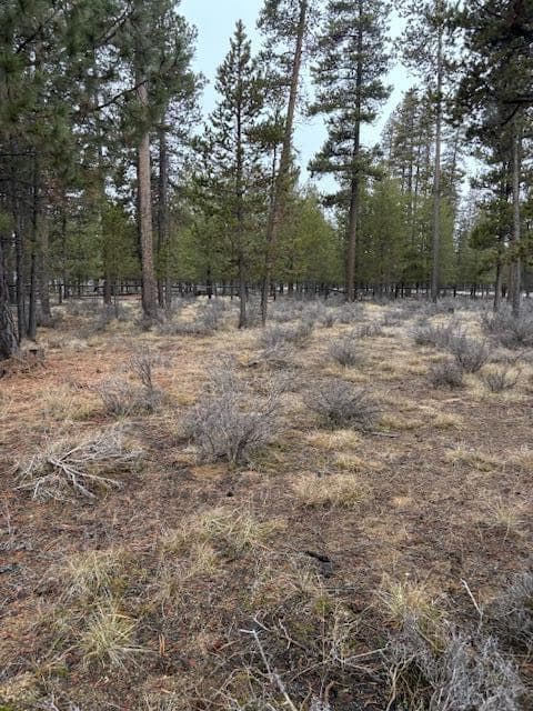 Photo of Sun Forest Drive 11 of 20