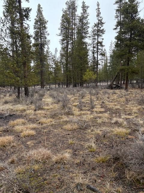 Photo of Sun Forest Drive 12 of 20