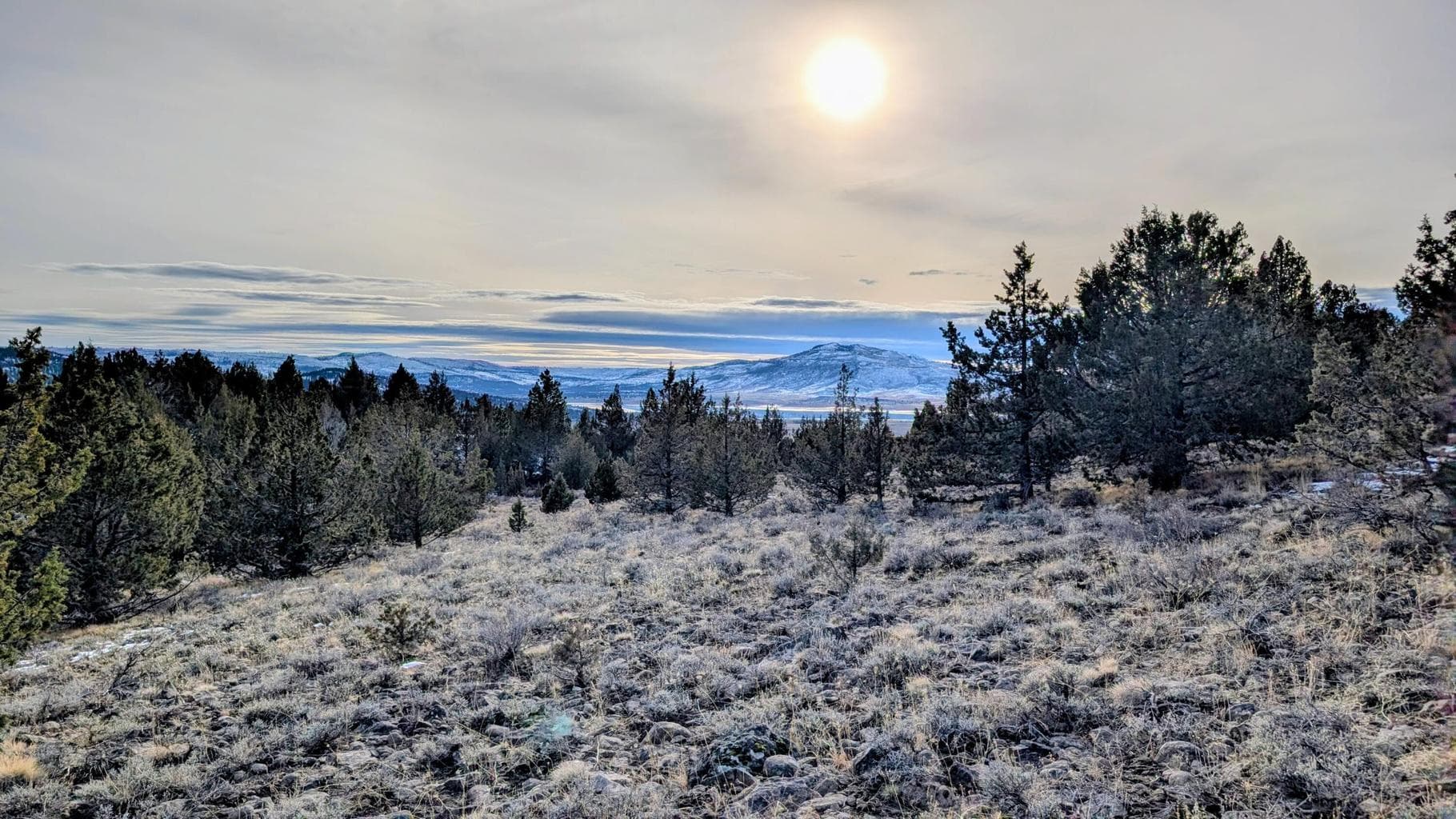 Photo of 19900 Patten Meadow 1 of 32