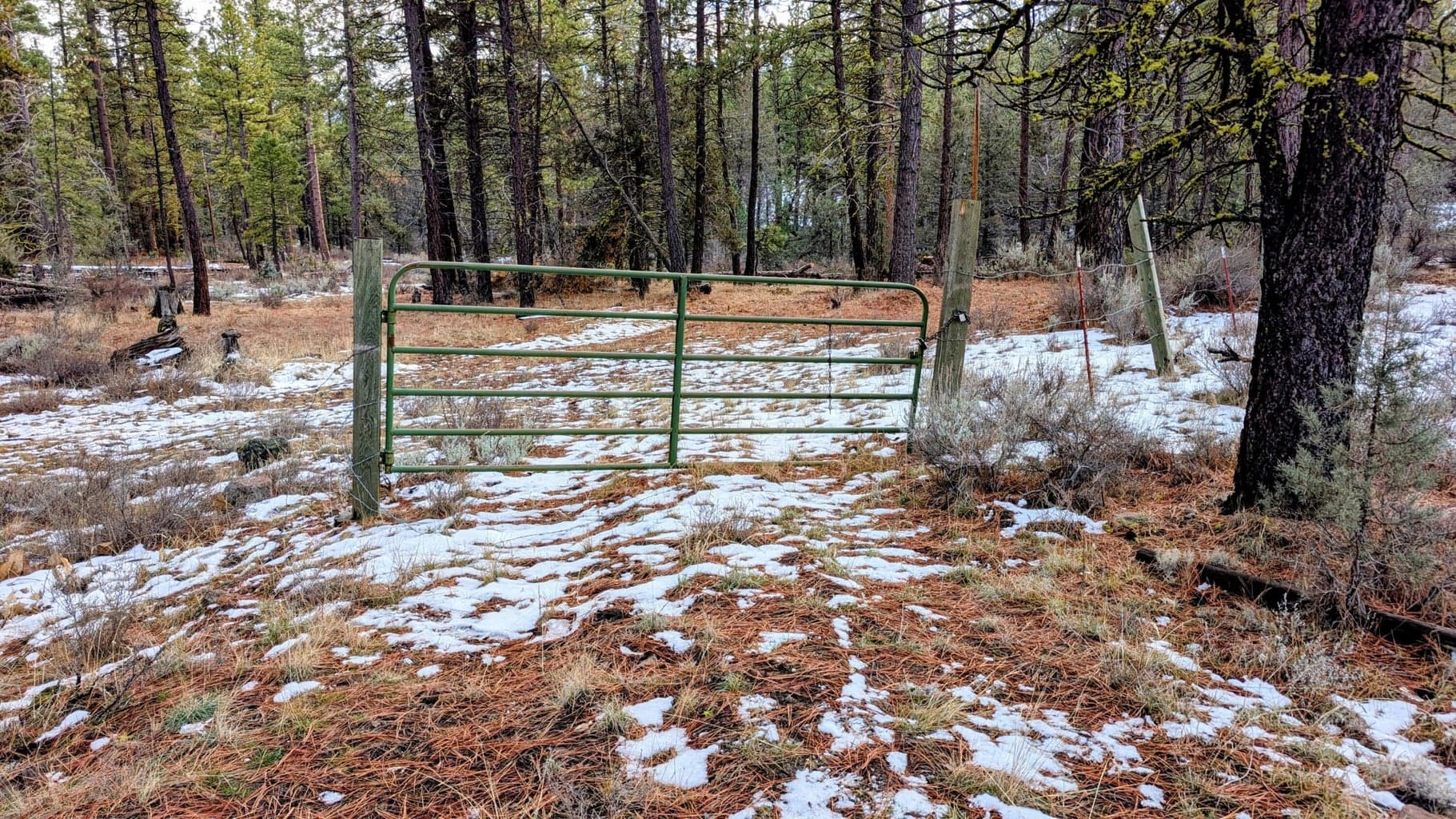 Photo of 19900 Patten Meadow 2 of 32