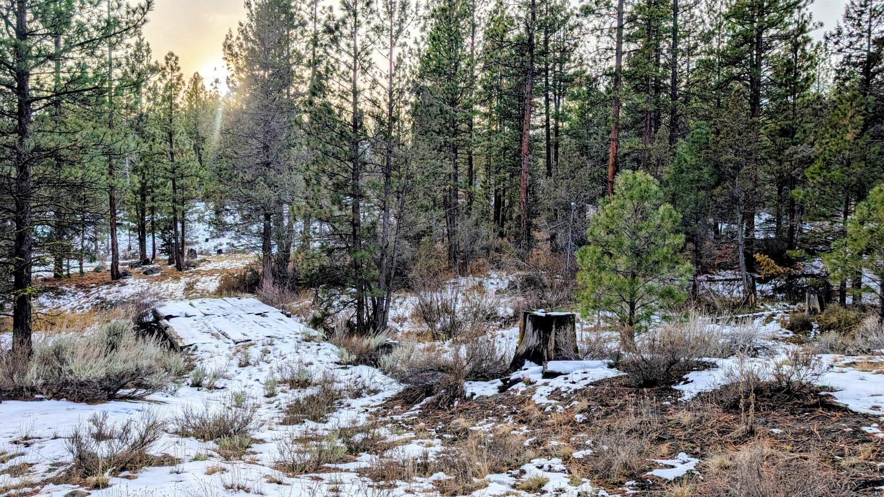 Photo of 19900 Patten Meadow 4 of 32
