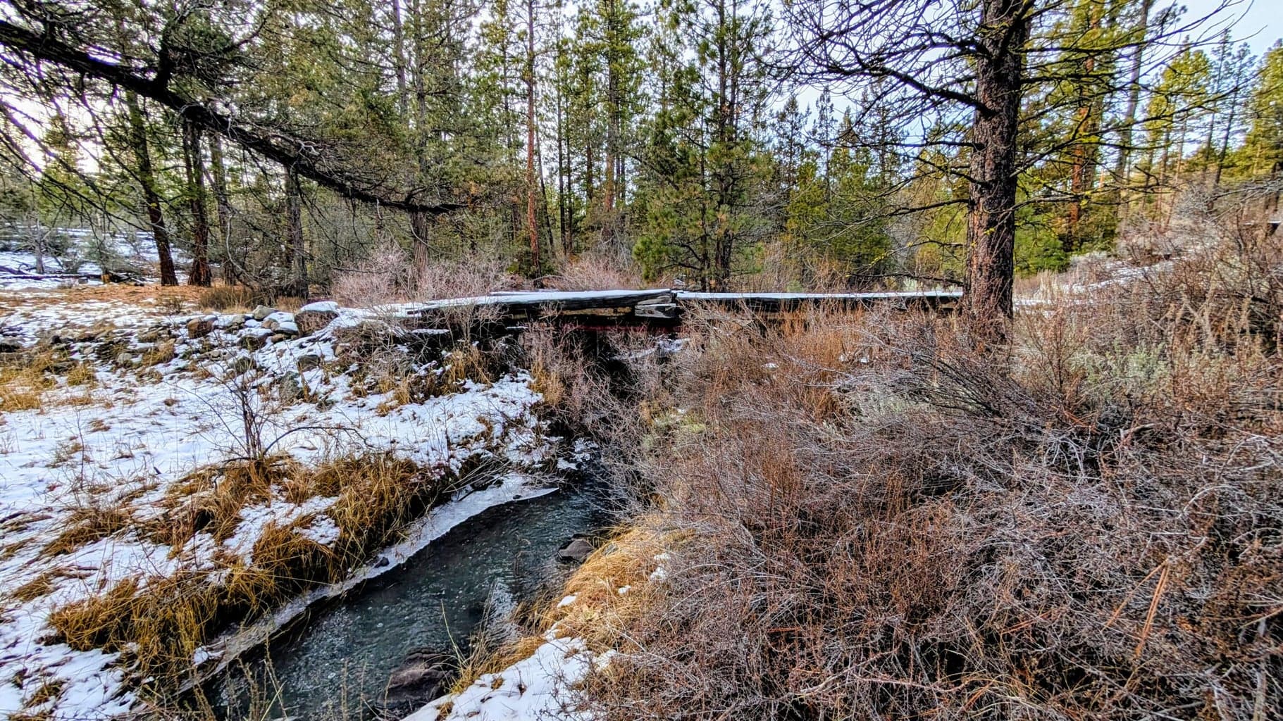 Photo of 19900 Patten Meadow 5 of 32