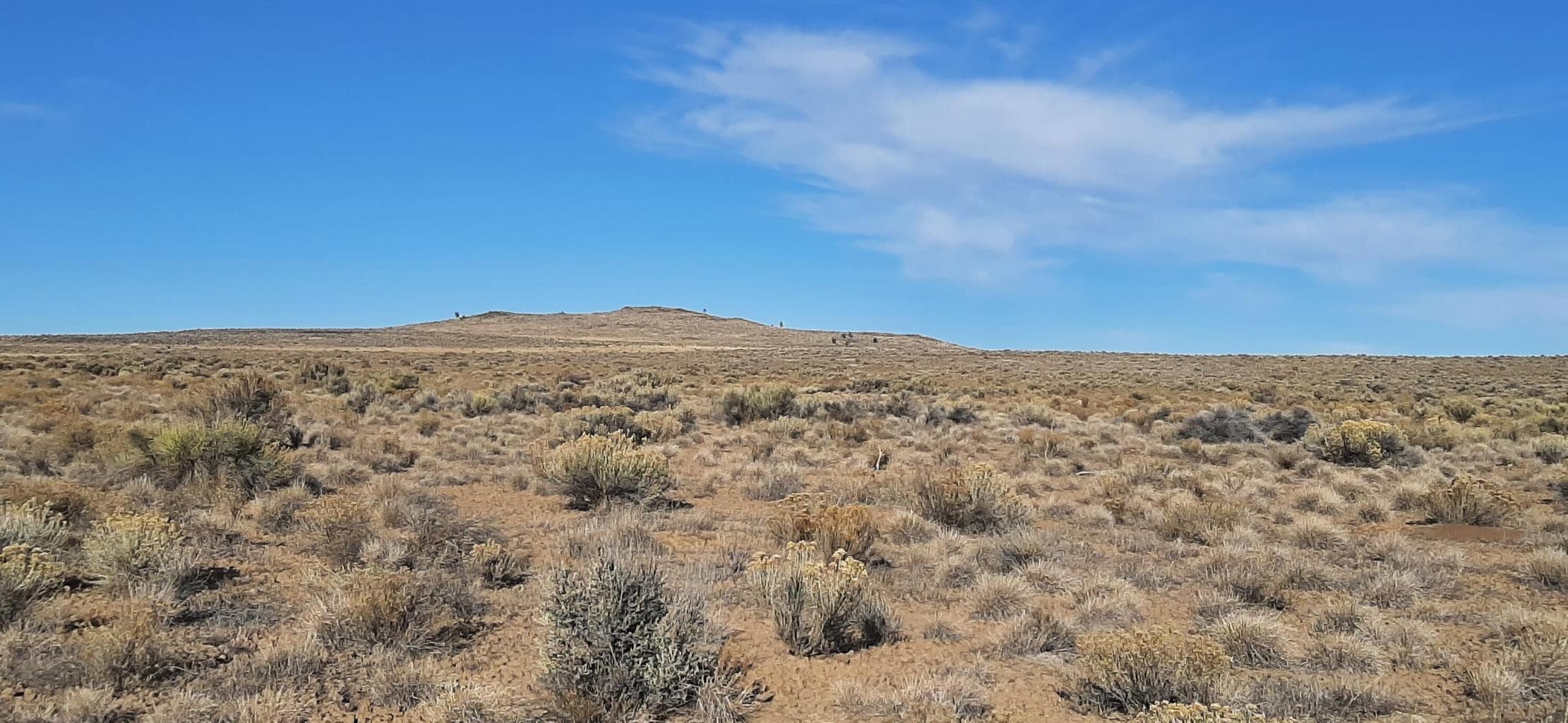 Photo of Off Lost Forest Rd 2 of 10