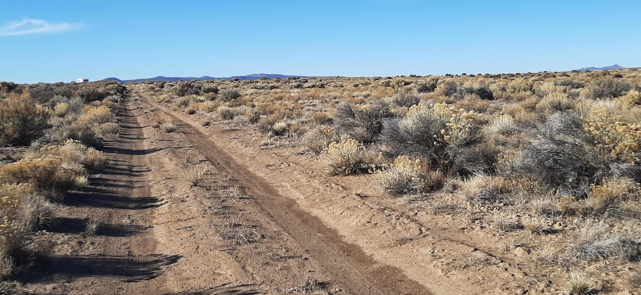 Photo of Off Lost Forest Rd 4 of 10