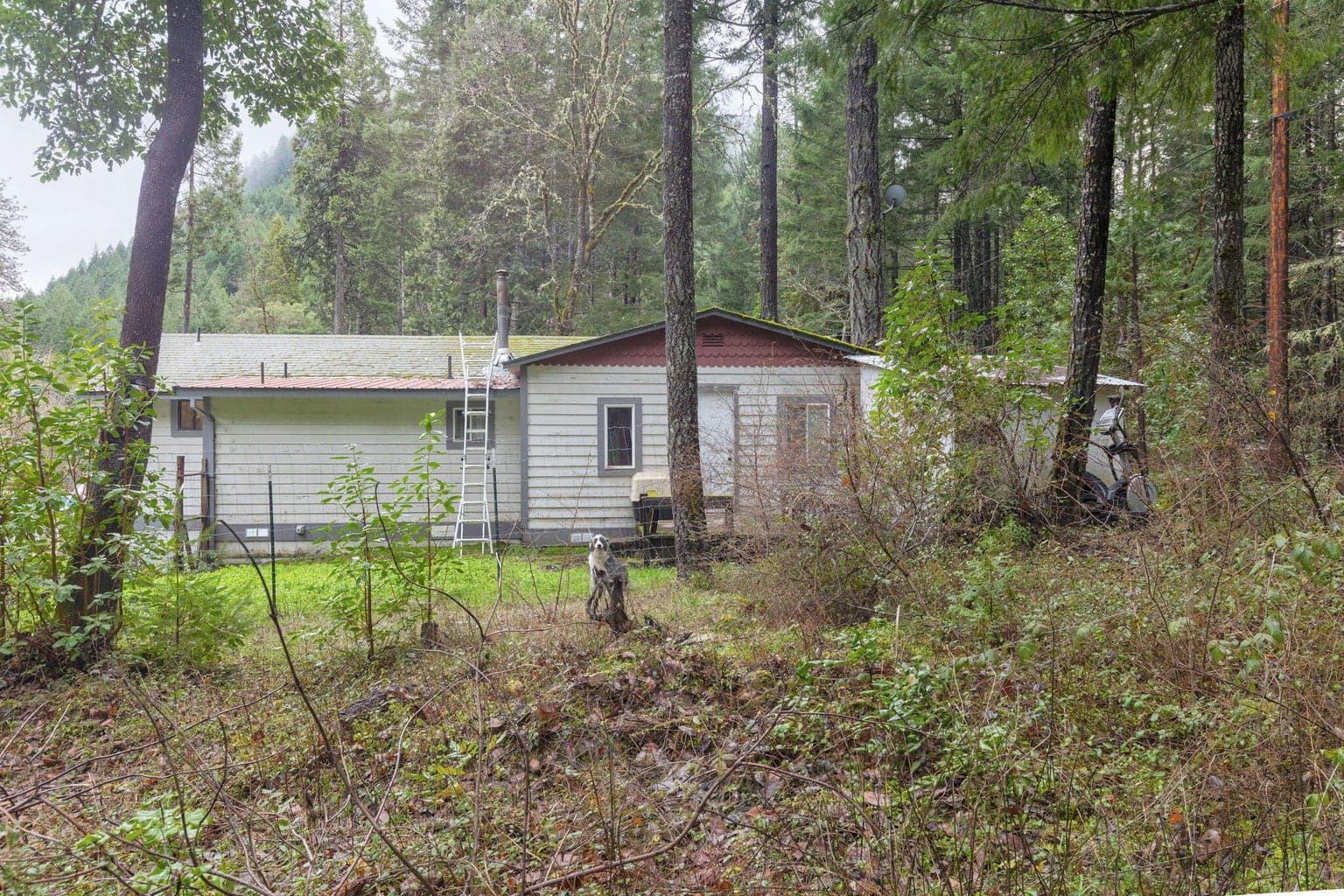 Photo of 1200 Lower Wolf Creek 3 of 47