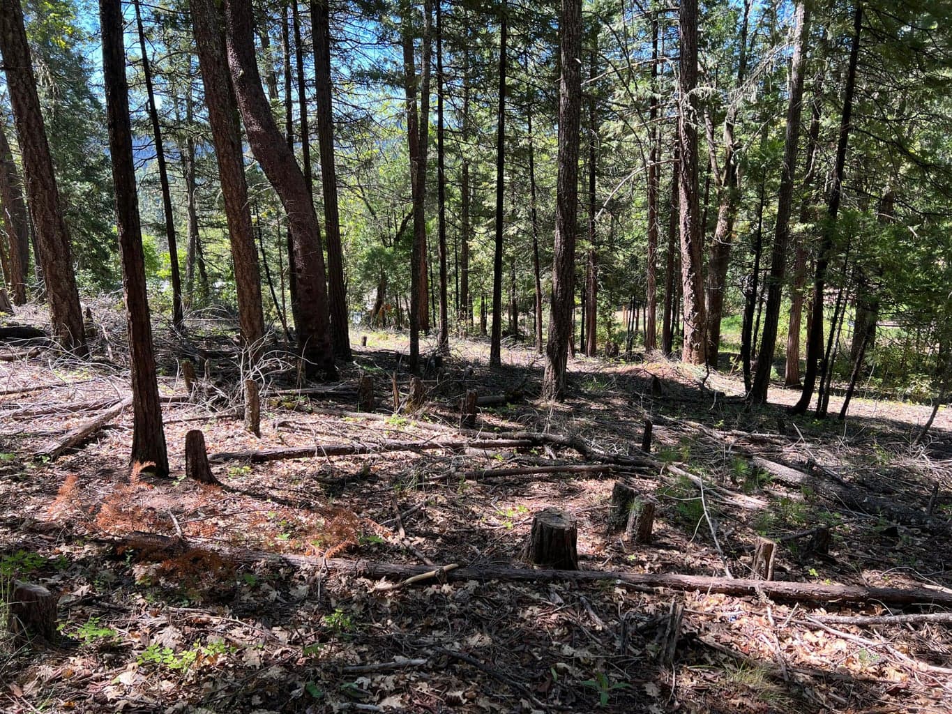 00347 Flounce Rock Rd